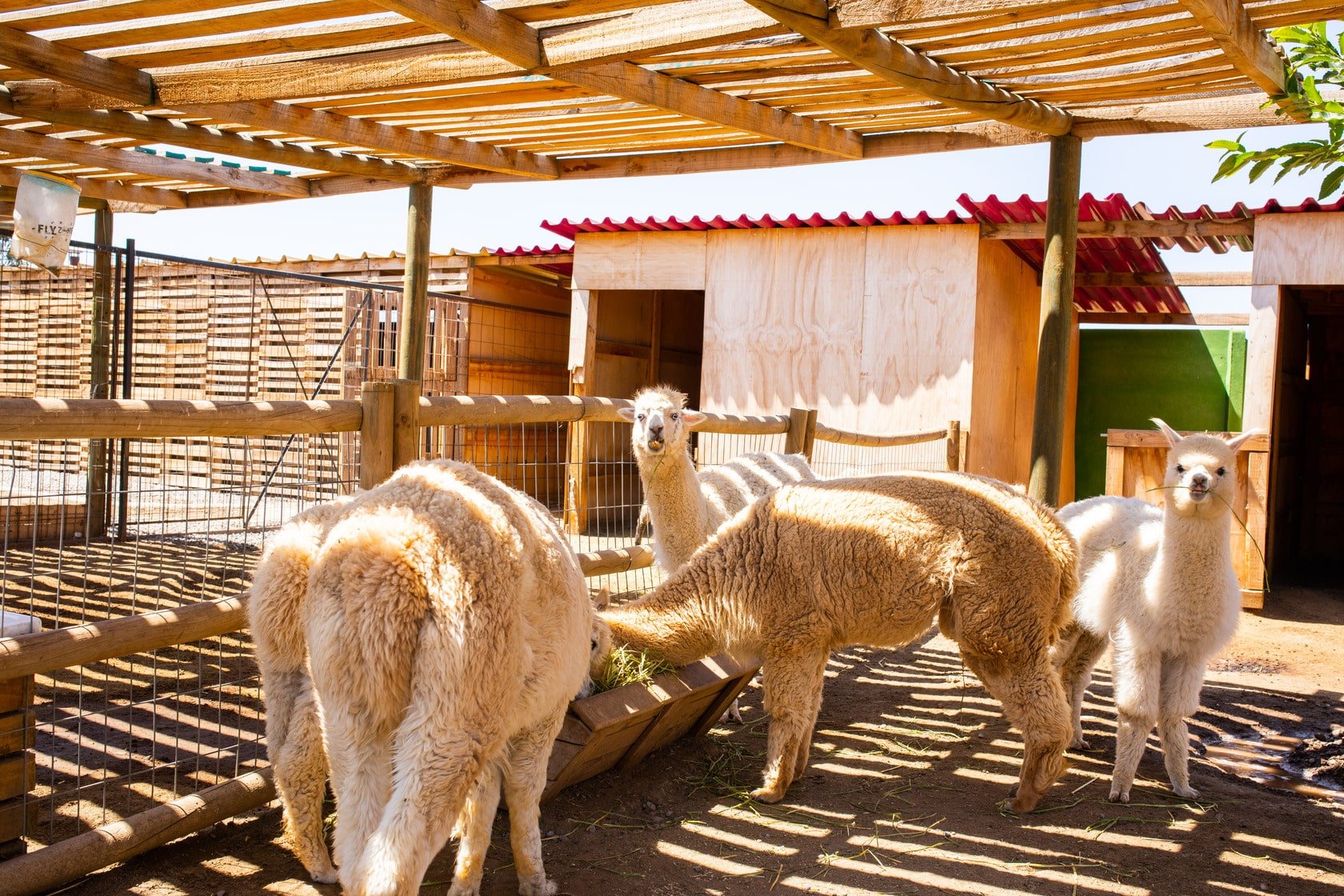 275A0782-16-min